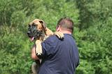 ADULTE ET CHIEN 513